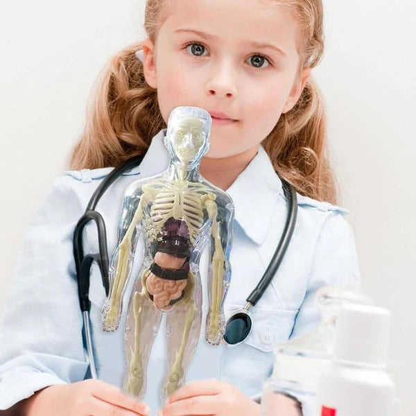 Edukativni set 3D model ljudskog tela